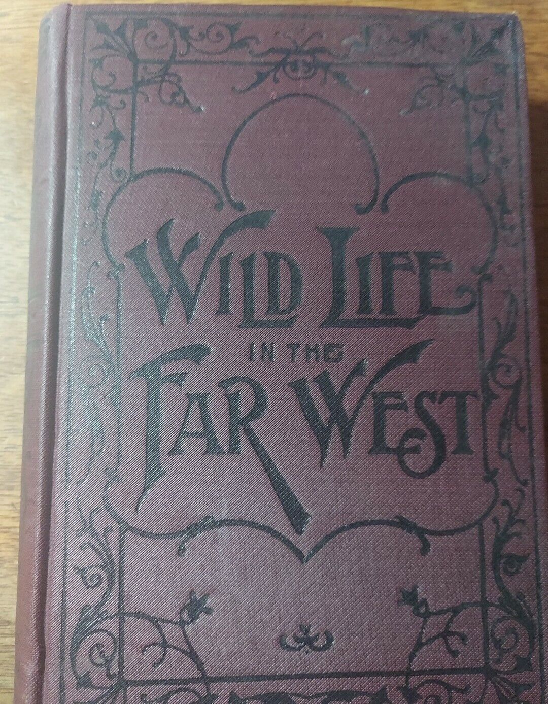 1896 Wild Life In The Far West By C. H. Simpson