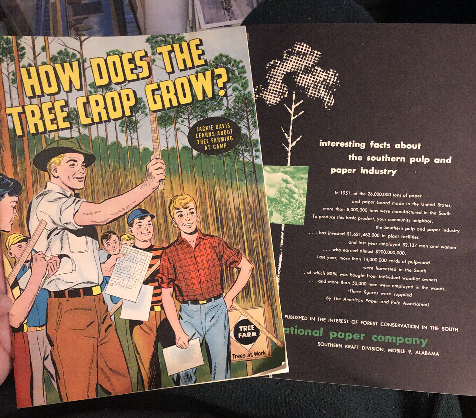 Vintage Comic Teachers Guide How Does the Tree Crop Grow? International Paper Co