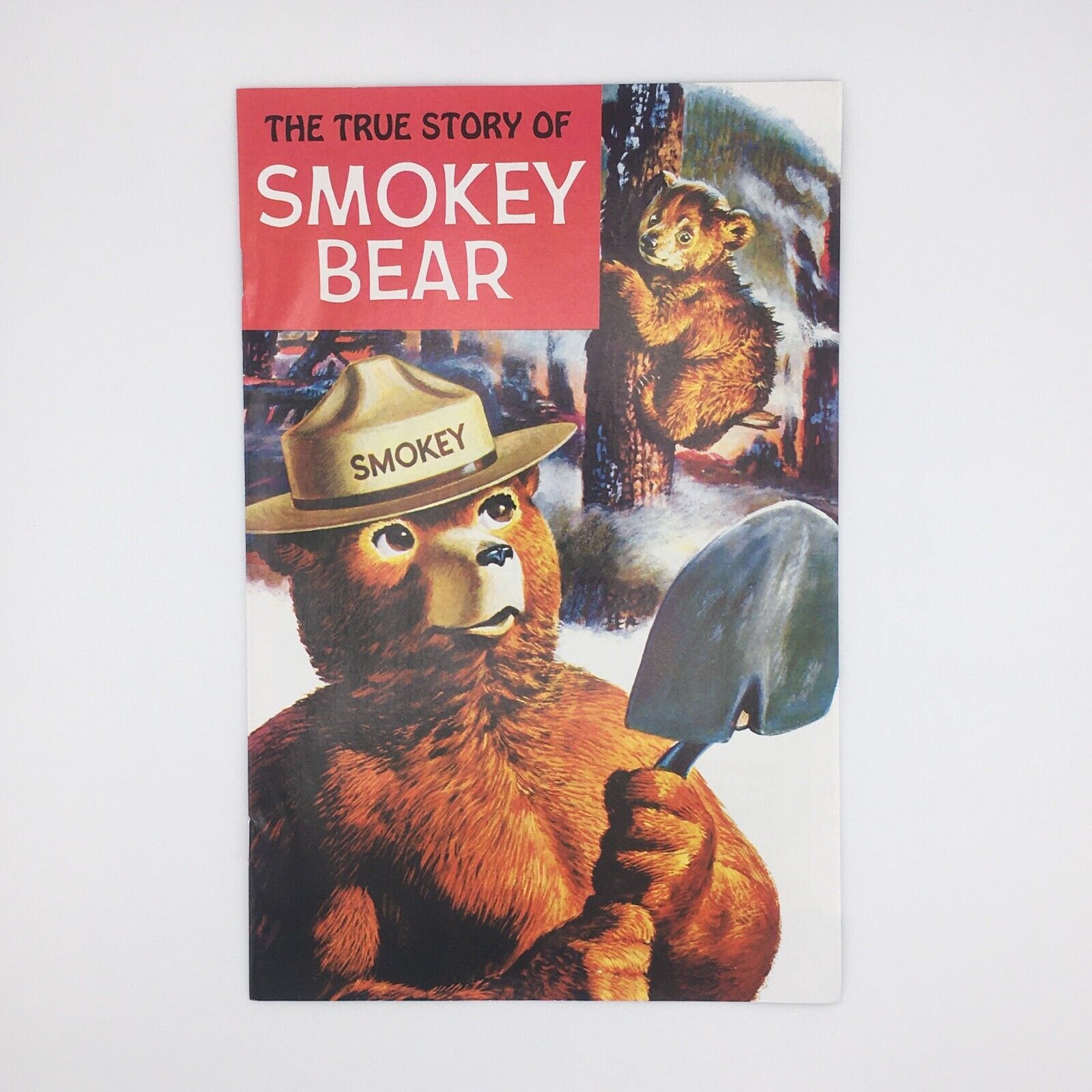 The True Story of Smokey Bear Comic Book US Forest Service Vintage 1969