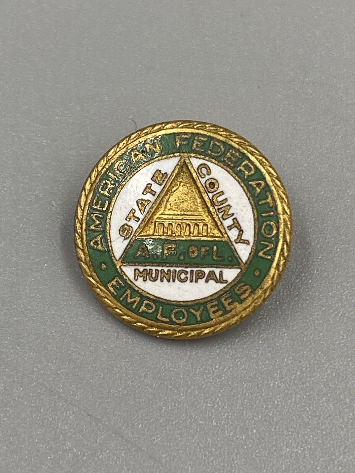 Vintage American Federation Employee State County Municipal Lapel Pin