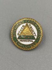 Vintage American Federation Employee State County Municipal Lapel Pin picture